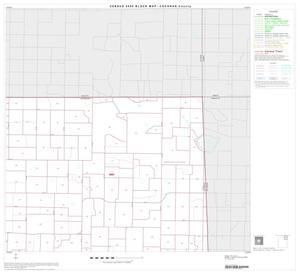 Primary view of object titled '2000 Census County Block Map: Cochran County, Block 3'.