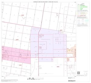 2000 Census County Block Map: Hidalgo County, Block 61