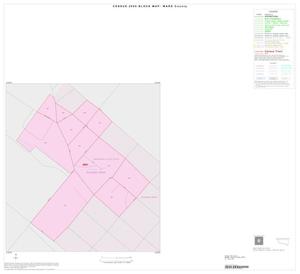 Primary view of object titled '2000 Census County Block Map: Ward County, Inset G01'.