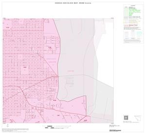 Primary view of object titled '2000 Census County Block Map: Webb County, Inset B12'.