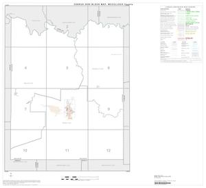 Primary view of object titled '2000 Census County Block Map: McCulloch County, Index'.