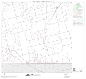 Primary view of object titled '2000 Census County Block Map: Fisher County, Block 8'.