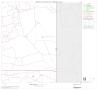 Thumbnail image of item number 1 in: '2000 Census County Block Map: Andrews County, Block 12'.