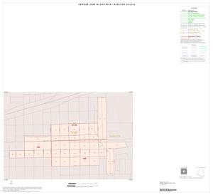2000 Census County Block Map: Hidalgo County, Inset V01