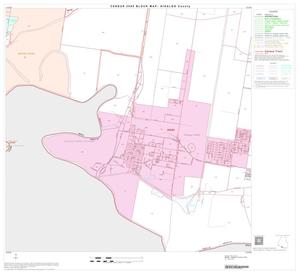 2000 Census County Block Map: Hidalgo County, Block 84