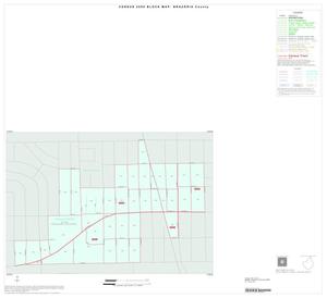 Primary view of object titled '2000 Census County Block Map: Brazoria County, Inset C01'.