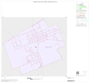 2000 Census County Block Map: Bosque County, Inset A01