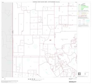 Primary view of object titled '2000 Census County Block Map: Hutchinson County, Block 5'.