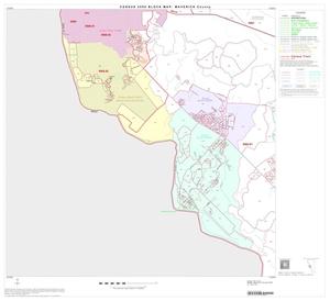 Primary view of object titled '2000 Census County Block Map: Maverick County, Block 13'.