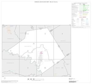 Primary view of object titled '2000 Census County Block Map: Mills County, Index'.
