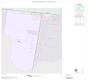 Primary view of object titled '2000 Census County Block Map: Hidalgo County, Inset H01'.