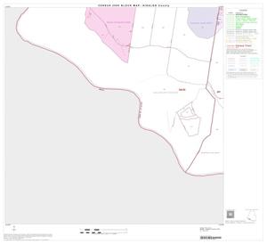 2000 Census County Block Map: Hidalgo County, Block 75