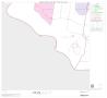 Primary view of 2000 Census County Block Map: Hidalgo County, Block 75