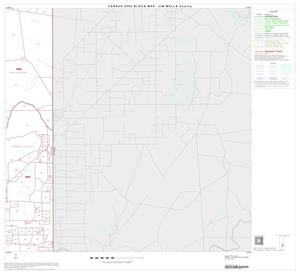 Primary view of object titled '2000 Census County Block Map: Jim Wells County, Block 13'.
