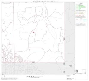 Primary view of object titled '2000 Census County Block Map: Hutchinson County, Block 16'.