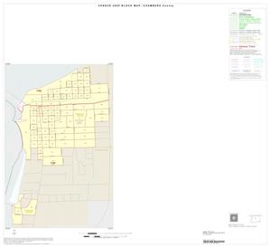 Primary view of object titled '2000 Census County Block Map: Chambers County, Inset E01'.