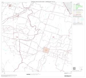 2000 Census County Block Map: Comanche County, Block 10
