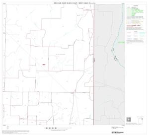 Primary view of object titled '2000 Census County Block Map: Montague County, Block 8'.