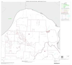 Primary view of object titled '2000 Census County Block Map: Montague County, Block 3'.