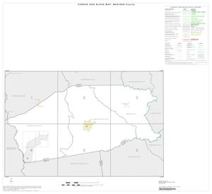 Primary view of object titled '2000 Census County Block Map: Madison County, Index'.