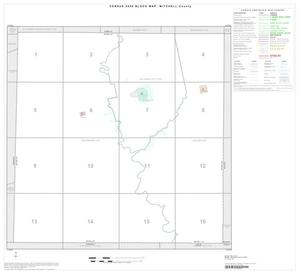 Primary view of object titled '2000 Census County Block Map: Mitchell County, Index'.