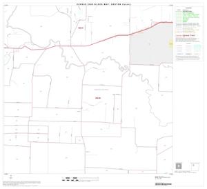 2000 Census County Block Map: Denton County, Block 11