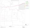 Map: 2000 Census County Block Map: Denton County, Block 11