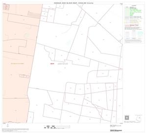 2000 Census County Block Map: Hidalgo County, Block 32