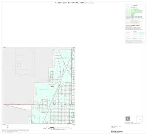 Primary view of object titled '2000 Census County Block Map: Terry County, Inset B01'.