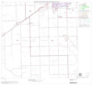 2000 Census County Block Map: Wharton County, Block 21