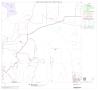 Map: 2000 Census County Block Map: Bastrop County, Block 17