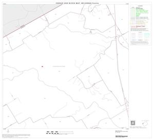 2000 Census County Block Map: McLennan County, Block 17