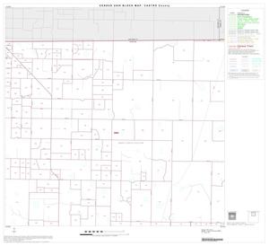 Primary view of object titled '2000 Census County Block Map: Castro County, Block 2'.