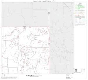 2000 Census County Block Map: Young County, Block 4