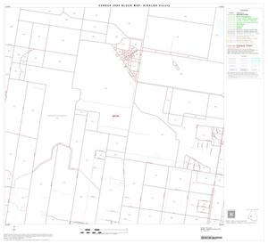 2000 Census County Block Map: Hidalgo County, Block 47