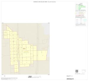 2000 Census County Block Map: Ellis County, Inset A01