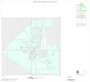 Primary view of object titled '2000 Census County Block Map: Concho County, Inset C01'.