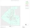 Thumbnail image of item number 1 in: '2000 Census County Block Map: Concho County, Inset C01'.