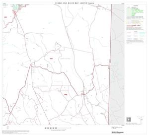 2000 Census County Block Map: Jasper County, Block 11