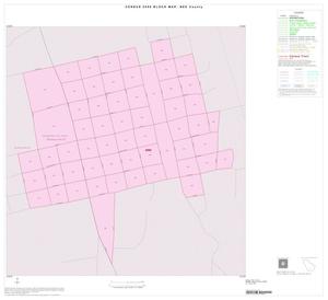 2000 Census County Block Map: Bee County, Inset C01