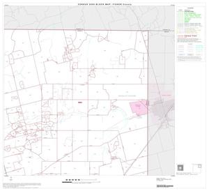 Primary view of object titled '2000 Census County Block Map: Fisher County, Block 3'.
