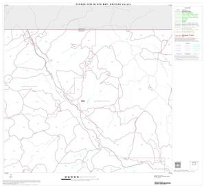 Primary view of object titled '2000 Census County Block Map: Briscoe County, Block 2'.