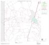 Primary view of 2000 Census County Block Map: La Salle County, Block 4
