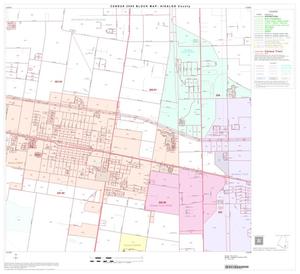 2000 Census County Block Map: Hidalgo County, Block 80
