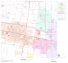 Map: 2000 Census County Block Map: Hidalgo County, Block 80