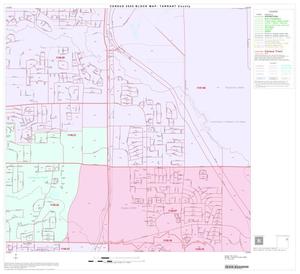2000 Census County Block Map: Tarrant County, Block 29