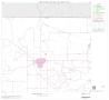 Map: 2000 Census County Block Map: Palo Pinto County, Block 3