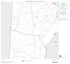 Primary view of object titled '2000 Census County Block Map: Newton County, Block 9'.