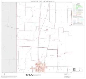 2000 Census County Block Map: Grayson County, Block 20