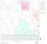 Map: 2000 Census County Block Map: Wise County, Block 15